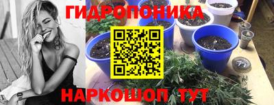 ГАЛЛЮЦИНОГЕННЫЕ ГРИБЫ Будённовск