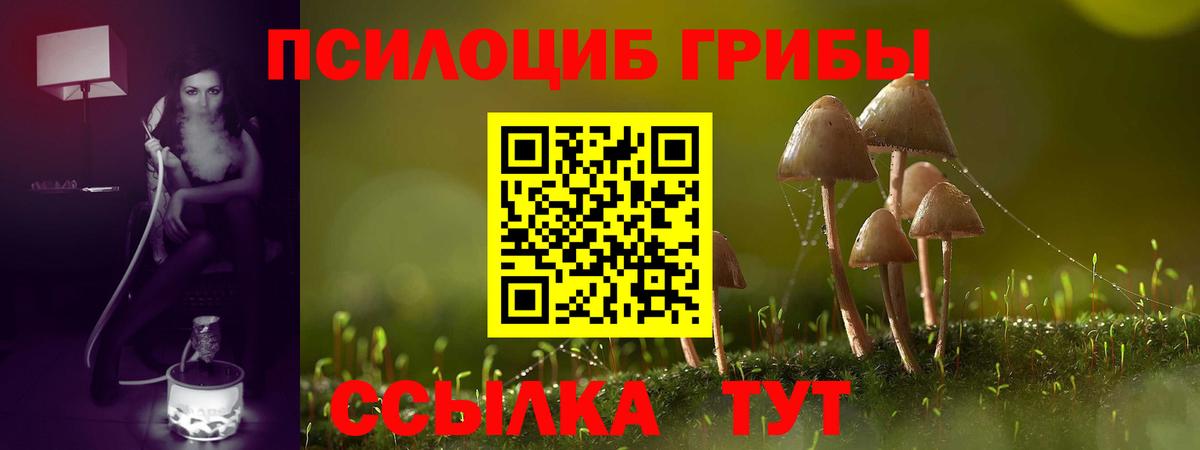 Сальск  Псилоцибиновые грибы прущие грибы  Вход с VPN 